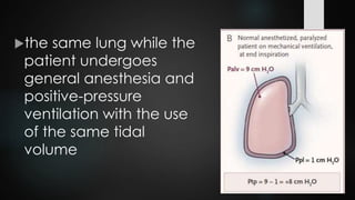 the same lung while the
patient undergoes
general anesthesia and
positive-pressure
ventilation with the use
of the same tidal
volume
 