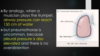 By analogy, when a
musician plays the trumpet,
airway pressure can reach
150 cm of water
but pneumothorax is
uncommon, because
pleural pressure is also
elevated and there is no
overdistention
 