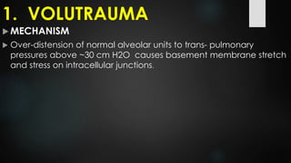 1. VOLUTRAUMA
 MECHANISM
 Over-distension of normal alveolar units to trans- pulmonary
pressures above ~30 cm H2O causes basement membrane stretch
and stress on intracellular junctions.
 