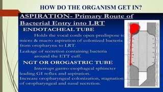 HOW DO THE ORGANISM GET IN?
 