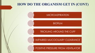 HOW DO THE ORGANISM GET IN (CONT)
MICROASPIRATION
BIOFILM
TRICKLING AROUND THE CUFF
IMPAIRED MUCOCILIARY CLEARANCE
POSITIVE PRESSURE FROM VENTILATOR
 