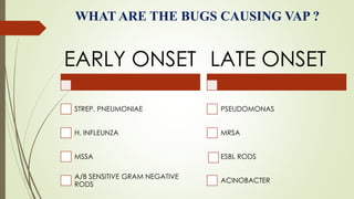 WHAT ARE THE BUGS CAUSING VAP ?
EARLY ONSET
STREP. PNEUMONIAE
H. INFLEUNZA
MSSA
A/B SENSITIVE GRAM NEGATIVE
RODS
LATE ONSET
PSEUDOMONAS
MRSA
ESBL RODS
ACINOBACTER
 