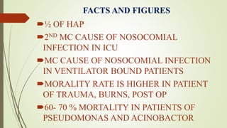 FACTS AND FIGURES
½ OF HAP
2ND MC CAUSE OF NOSOCOMIAL
INFECTION IN ICU
MC CAUSE OF NOSOCOMIAL INFECTION
IN VENTILATOR BOUND PATIENTS
MORALITY RATE IS HIGHER IN PATIENT
OF TRAUMA, BURNS, POST OP
60- 70 % MORTALITY IN PATIENTS OF
PSEUDOMONAS AND ACINOBACTOR
 