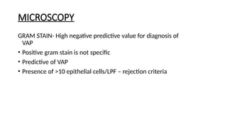 Ventilator-Associated Pneumonia (VAP): Pathogenesis, Diagnosis ...