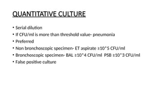 Associated Bundle Ventilator-Associated Pneumonia (VAP): Pathogenesis, Diagnosis ...