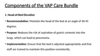 Associated Bundle Ventilator-Associated Pneumonia (VAP): Pathogenesis, Diagnosis ...