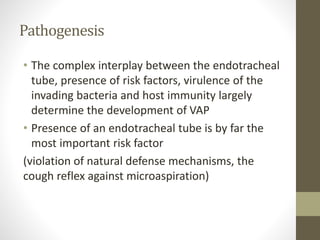 Pathogenesis
• The complex interplay between the endotracheal
tube, presence of risk factors, virulence of the
invading bacteria and host immunity largely
determine the development of VAP
• Presence of an endotracheal tube is by far the
most important risk factor
(violation of natural defense mechanisms, the
cough reflex against microaspiration)
 
