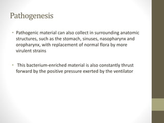 Pathogenesis
• Pathogenic material can also collect in surrounding anatomic
structures, such as the stomach, sinuses, nasopharynx and
oropharynx, with replacement of normal flora by more
virulent strains
• This bacterium-enriched material is also constantly thrust
forward by the positive pressure exerted by the ventilator
 