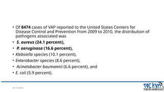08/14/2024 8
• Of 8474 cases of VAP reported to the United States Centers for
Disease Control and Prevention from 2009 to 2010, the distribution of
pathogens associated was
• S. aureus (24.1 percent),
• P. aeruginosa (16.6 percent),
• Klebsiella species (10.1 percent),
• Enterobacter species (8.6 percent),
• Acinetobacter baumannii (6.6 percent), and
• E. coli (5.9 percent).
 