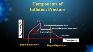 Components of
Inflation Pressure
Begin Expiration
P
aw
(cm
H
2
O)
Time (sec)
Begin Inspiration
PIP
Pplateau
(Palveolar)
Transairway Pressure (PTA)
} Exhalation Valve Opens
Expiration
Inspiratory Pause
 
