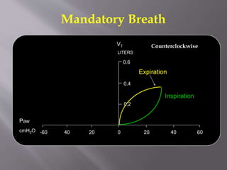 Mandatory Breath
Expiration
0 20 40 602040-60
0.2
LITERS
0.4
0.6
Paw
cmH2O
Inspiration
VT Counterclockwise
 