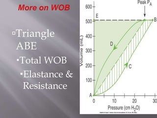 Triangle
ABE
Total WOB
Elastance &
Resistance
 