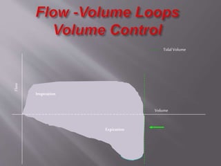 Volume
Tidal Volume
Inspiration
Expiration
 