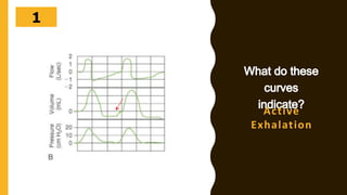 302928272625242322212019181716151413121110987654321
Active
Exhalation
 