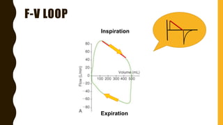 F-V LOOP
Inspiration
Expiration
 