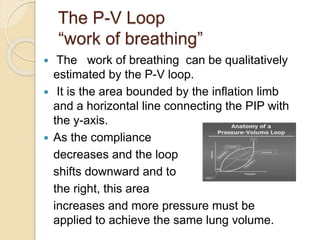 The P-V Loop
“work of breathing”
 The work of breathing can be qualitatively
estimated by the P-V loop.
 It is the area bounded by the inflation limb
and a horizontal line connecting the PIP with
the y-axis.
 As the compliance
decreases and the loop
shifts downward and to
the right, this area
increases and more pressure must be
applied to achieve the same lung volume.
 
