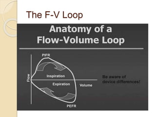 The F-V Loop
 