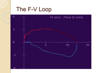 The F-V Loop
 