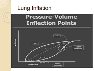 Lung Inflation
 