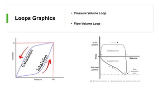 Loops Graphics
• Pressure Volume Loop
• Flow Volume Loop
 