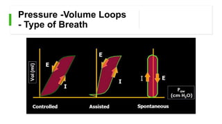 Pressure -Volume Loops
- Type of Breath
 