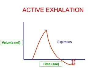 ACTIVE EXHALATION
Volume (ml)
Time (sec)
Expiration
 