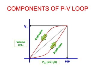 COMPONENTS OF P-V LOOP
Volume
(mL)
PIP
VT
Paw (cm H2O)
 