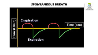 SPONTANEOUS BREATH
 