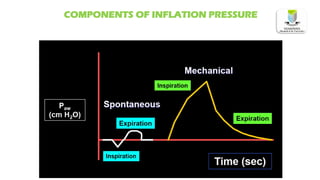 COMPONENTS OF INFLATION PRESSURE
 