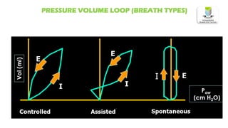 PRESSURE VOLUME LOOP (BREATH TYPES)
 