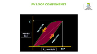 PV LOOP COMPONENTS
 