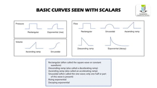 BASIC CURVES SEEN WITH SCALARS
 
