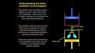 Understanding the basic
ventilator circuit diagram
ventilator
Diaphragm
These two systems are connected by
an endotracheal tube which we can
consider as an extension of the
patients airways.
The ventilator makes up the first part
of the circuit. Its pump like action is
depicted simplistically as a piston
that moves in a reciprocating fashion
during the respiratory cycle.
The patient’s own respiratory system
Makes up the 2nd
part of the circuit.
The diaphragm is also shown as a
2nd
piston; causing air to be drawn into
the lungs during contraction.
ET Tube
airways
Chest wall
 