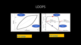 LOOPS
P-V Loop F-V Loop
Expiratory
arm
Inspiratory
arm
Inspiratory
arm
Expiratory
arm
 