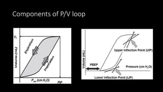 Components of P/V loop
 