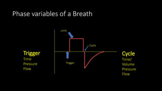 Inspiration
Expiration
Time (sec)
Flow
(L/min)
Phase variables of a Breath
Trigger
Limit
Cycle
Trigger
Time
Pressure
Flow
Cycle
Time/
Volume
Pressure
Flow
 