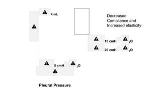 hyperinflation
X mL e
m
u
Decreased
Compliance and
Increased elasticity
l
o
V
g
n
u
L
5 cmH 2O
Pleural Pressure
10 cmH 2O
20 cmH 2O
 