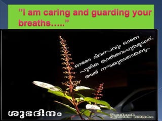 Ventilator mode classification