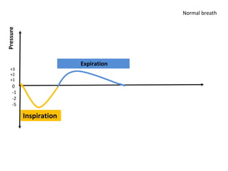 0
-1
-2
-5
Pressure
Expiration
Inspiration
+3
+2
+1
Normal breath
 