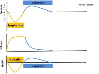 volume
0
-1
-2
-5
Pressure
Expiration
Inspiration
+3
+2
+1
FLOW
Expiration
Inspiration
Normal breath
 