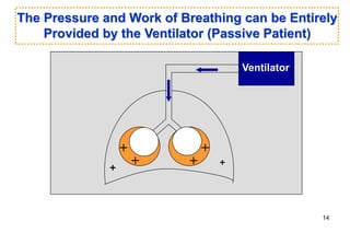+
+
+
+
The Pressure and Work of Breathing can be Entirely
Provided by the Ventilator (Passive Patient)
Ventilator
₊ ₊
14
 