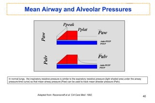 Mean Airway and Alveolar Pressures
Adapted from: Ravenscraft et al. Crit Care Med. 1992.
In normal lungs, the inspiratory resistive pressure is similar to the expiratory resistive pressure (light shaded area under the airway
pressure-time curve) so that mean airway pressure (Paw) can be used to track mean alveolar pressure (Palv).
40
 