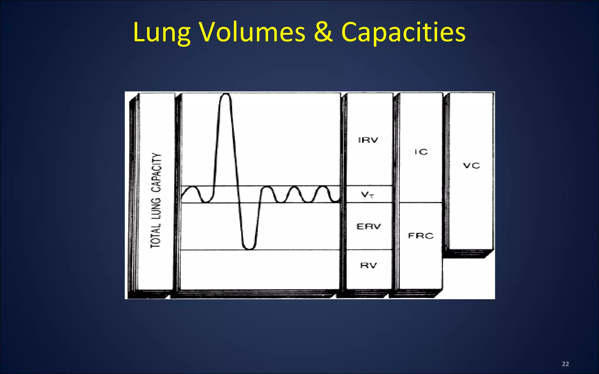 Lung Volumes & Capacities
 