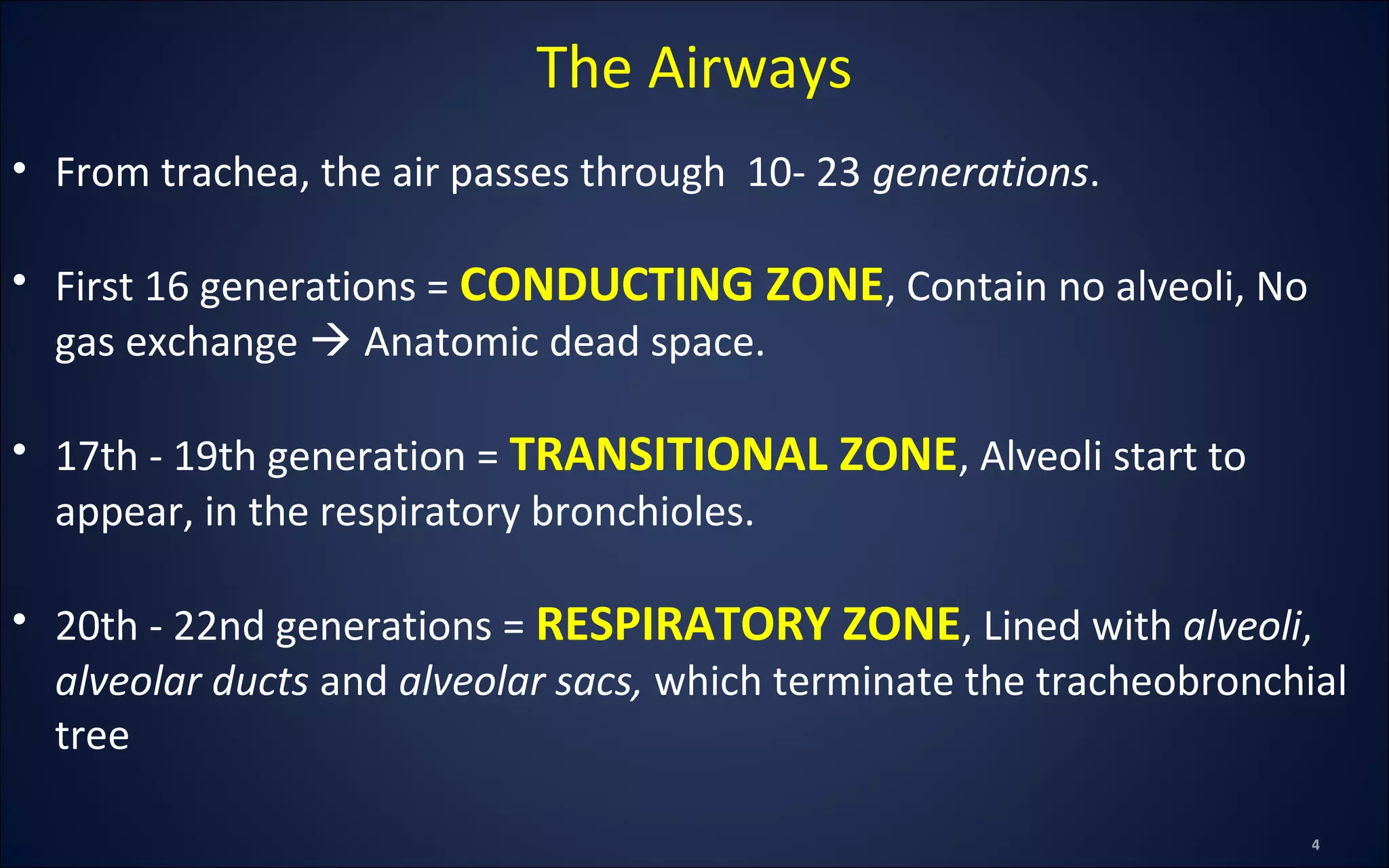 The Airways
• From trachea, the air passes through 10- 23 generations.
• First 16 generations = CONDUCTING ZONE, Contain no alveoli, No
gas exchange  Anatomic dead space.
• 17th - 19th generation = TRANSITIONAL ZONE, Alveoli start to
appear, in the respiratory bronchioles.
• 20th - 22nd generations = RESPIRATORY ZONE, Lined with alveoli,
alveolar ducts and alveolar sacs, which terminate the tracheobronchial
tree
 
