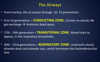 The Airways
• From trachea, the air passes through 10- 23 generations.
• First 16 generations = CONDUCTING ZONE, Contain no alveoli, No
gas exchange  Anatomic dead space.
• 17th - 19th generation = TRANSITIONAL ZONE, Alveoli start to
appear, in the respiratory bronchioles.
• 20th - 22nd generations = RESPIRATORY ZONE, Lined with alveoli,
alveolar ducts and alveolar sacs, which terminate the tracheobronchial
tree
 