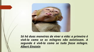 Só há duas maneiras de viver a vida: a primeira é
vivê-la como se os milagres não existissem. A
segunda é vivê-la como se tudo fosse milagre.
Albert Einstein
 
