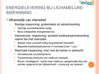 ENERGIELEVERING BIJ LICHAMELIJKE
INSPANNING
 Afhankelijk van intensiteit
1. Rustige inspanning: grotendeels uit vetverbranding
 Geringe zuurstofopname nodig
 Bijna onbeperkte energiereserves
1. Intensievere inspanning: aandeel koolhydraatverbranding
neemt toe met intensiteit
 Steeds meer zuurstof nodig bij groeiende intensiteit
 Beperkte koolhydraatreserves in voorraad (max 1 uur)
1. Maximale inspanning: man met de hamer in aantocht!
 Onvoldoende zuurstofopname
 Toenemende productie van melkzuur (lactaat)
 Boven ‘omslagpunt’ wordt meer melkzuur aangemaakt dan kan
worden opgeruimd per tijdseenheid > verzuring van spieren! 5
 