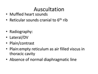 Muffled Line Ventral abdominal hernia1 | PPTX