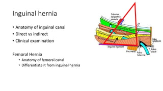 VENTRAL AND GROIN HERNIA BSc 3.pptx