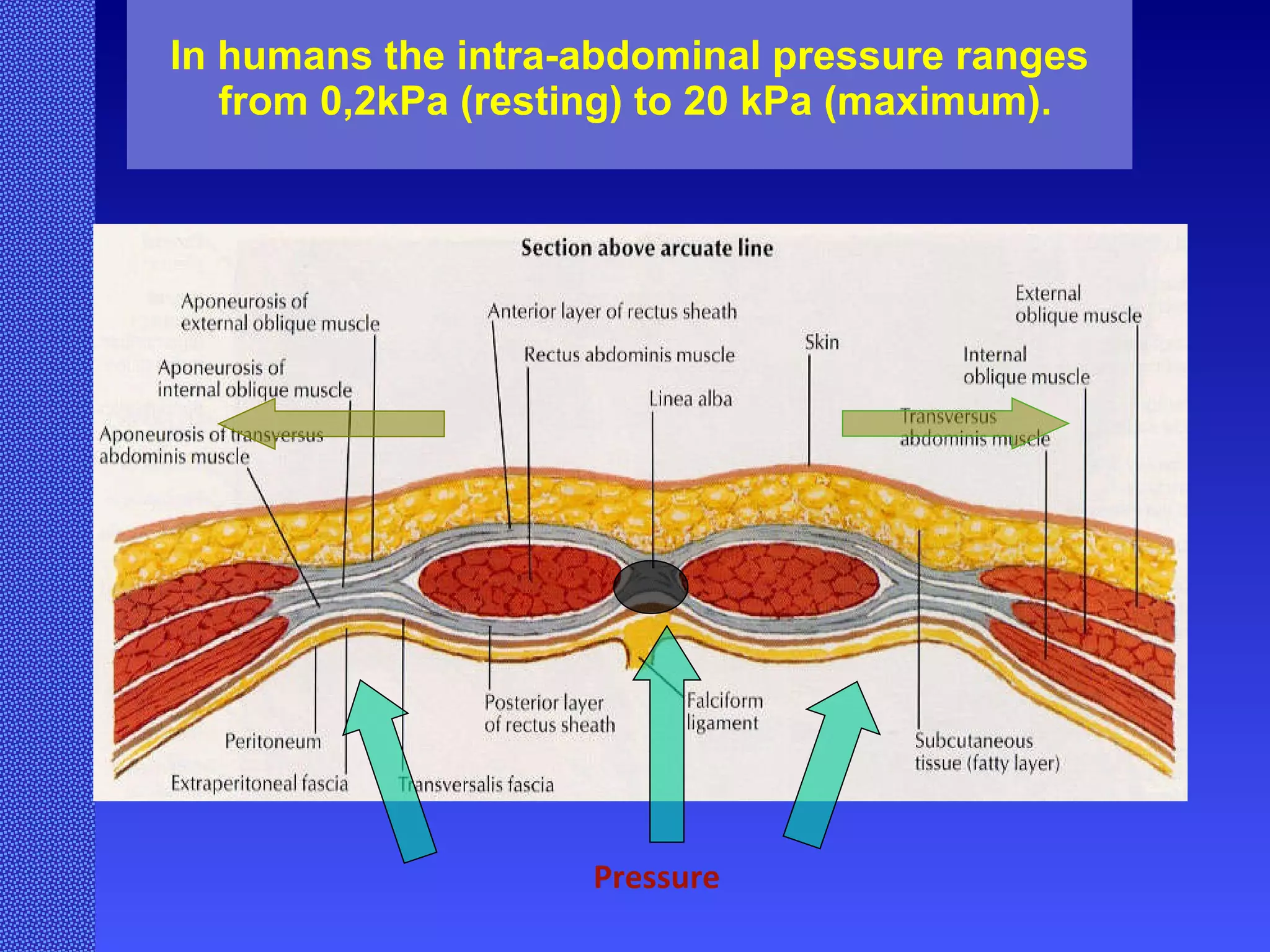 In humans the intra-abdominal pressure ranges  from 0,2kPa (resting) to 20 kPa (maximum). Pressure 